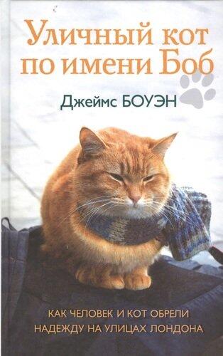 Уличный кот по имени Боб