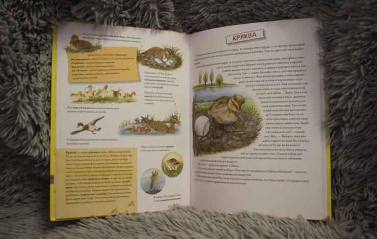 Кряква