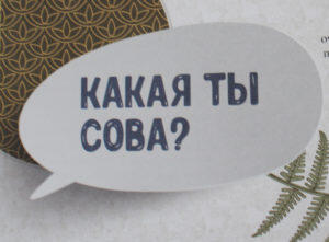 Какая ты сова